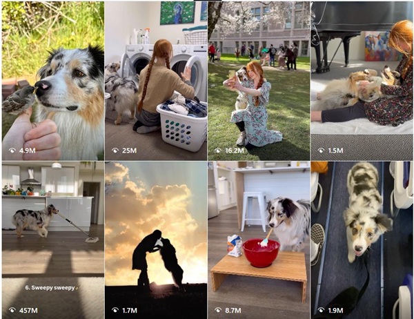 美国200多万粉丝的宠物达人博主频道内容