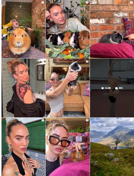 Instagram网红推荐：英国宠物服饰配件类海外博主频道内容