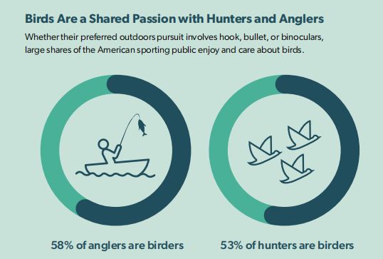 海外观鸟经济爆发！智能喂鸟器撬动千亿市场