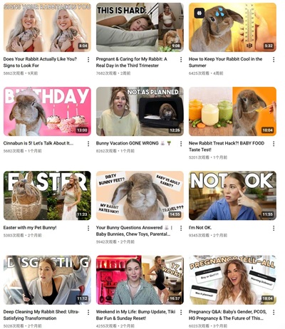 YouTube网红推荐:10.6万粉丝的美国宠物与生活方式类博主频道内容 YouTube网红推荐:10.6万粉丝的美国宠物与生活方式类博主频道内容