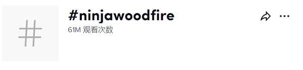 #ninjawoodfire
