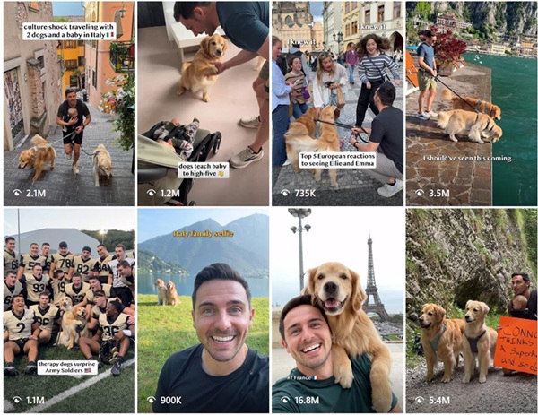 instagram美国旅行宠物博主频道内容