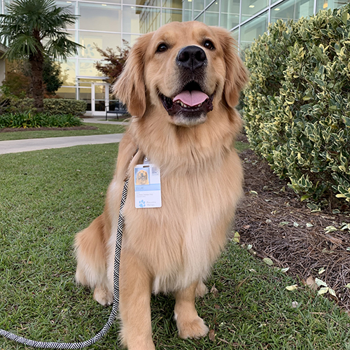 Instagram网红推荐：美国旅行日常博主以及宠物达人