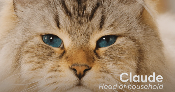 海外营销案例解析：稳住“毛孩子”，抓住钱袋子！