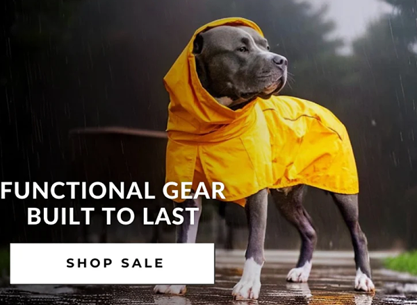 两三百一件狗衣服引爆社媒，半年卖出5600万美金