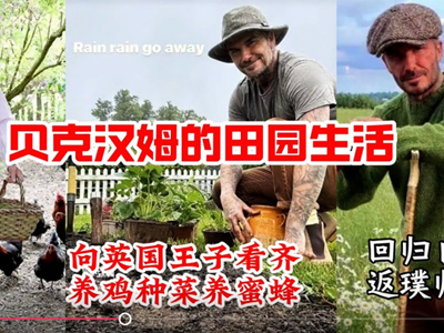 国产品牌"7日销量破万"，全球家居园艺市场还暗藏什么机遇？