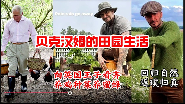 国产品牌"7日销量破万"，全球家居园艺市场还暗藏什么机遇？