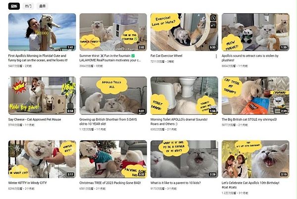 34万粉丝的Youtube美国宠物类博主频道内容